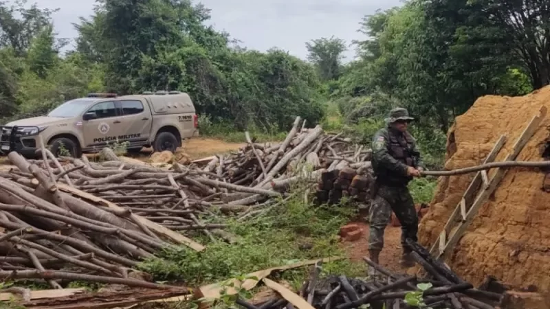 Polícia Militar da Bahia destrói fornos de carvão irregulares em Nova Redenção