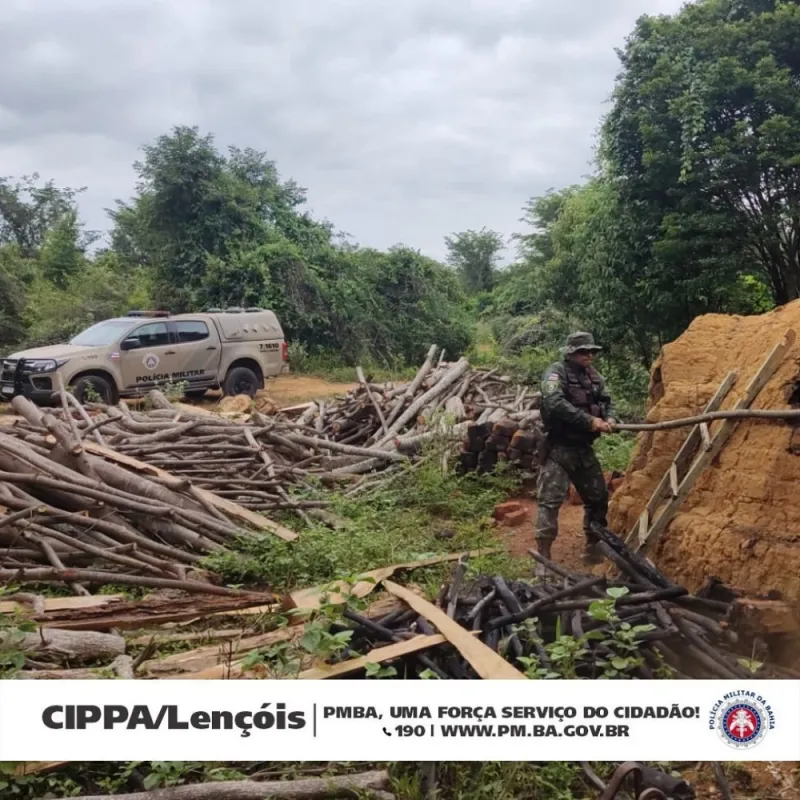 Polícia Militar da Bahia destrói fornos de carvão irregulares em Nova Redenção