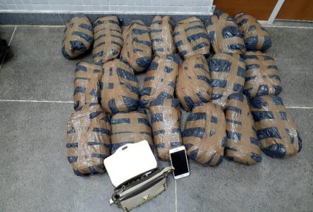 Mulher foge de blitz, mas acaba alcançada com 25 kg de maconha na região