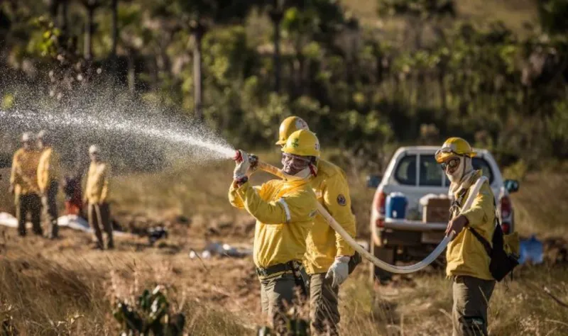 ICMBio promove 19 vagas em novo Processo Seletivo para o Parque Nacional da Chapada Diamantina