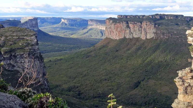 Mudanças climáticas podem gerar perda de espécies na Chapada Diamantina