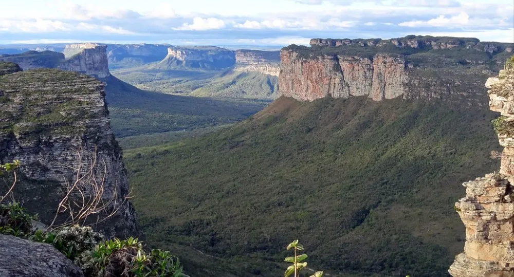 Mudanças climáticas podem gerar perda de espécies na Chapada Diamantina